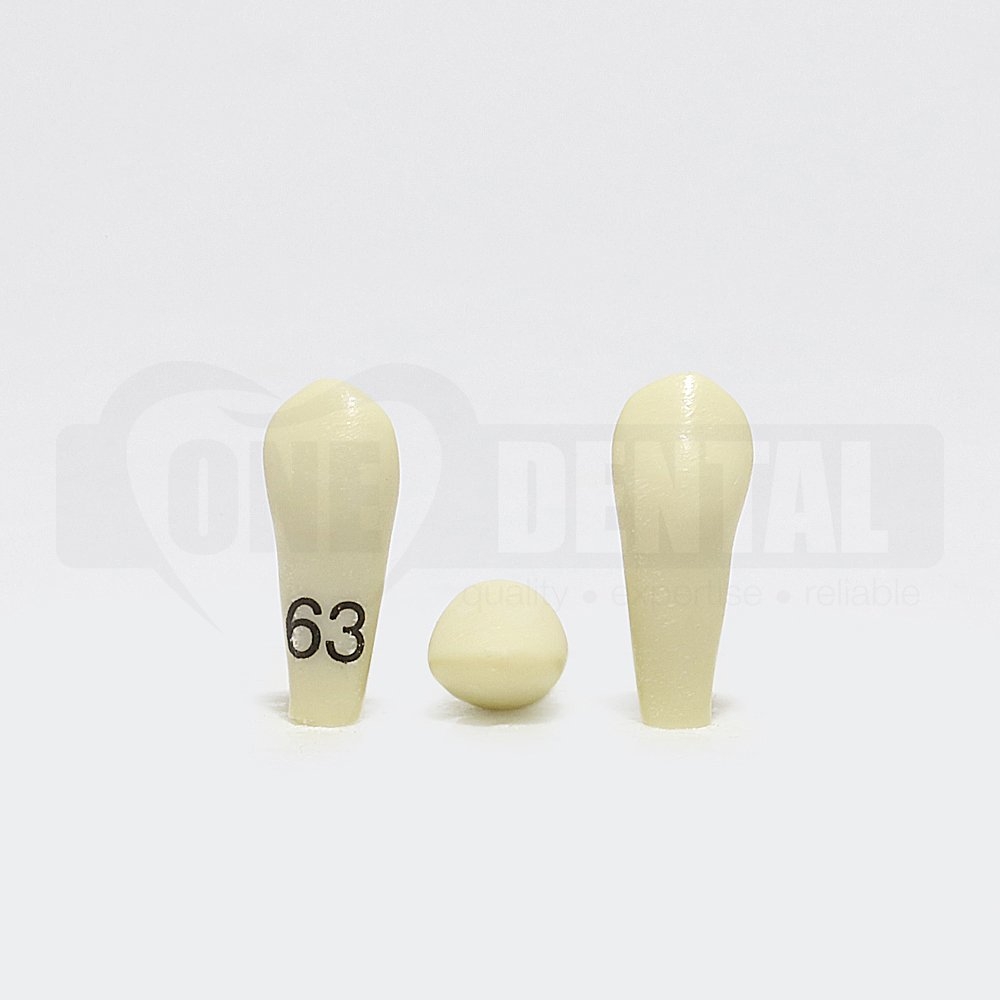 Tooth 63 for Paedo Model 1971