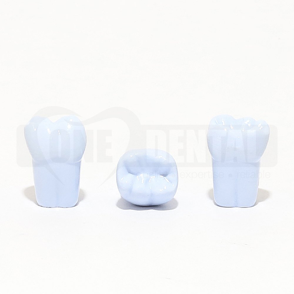 Tooth 46 Blue for 1971 Paedo Model