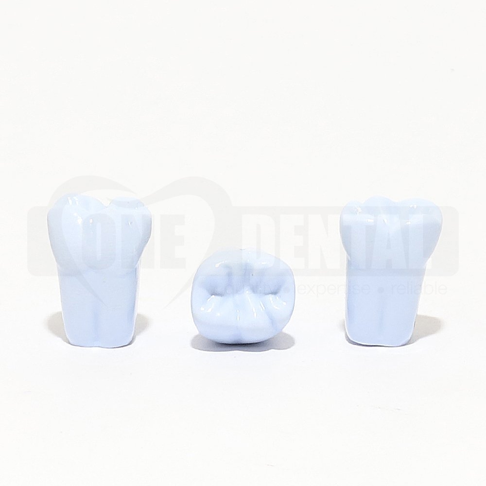 Tooth 36 Blue for 1974 Paedo Model