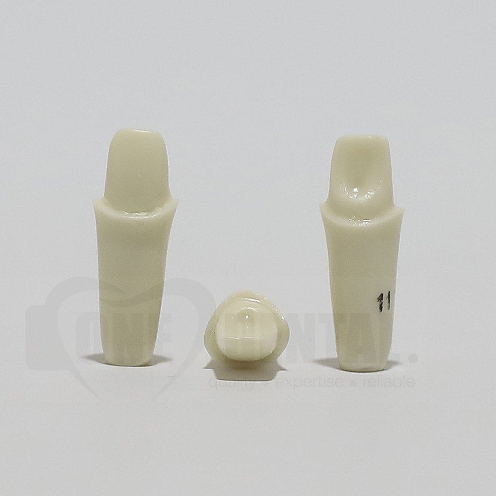 Prep Tooth 11 Full Crown for 2008 Adult Model