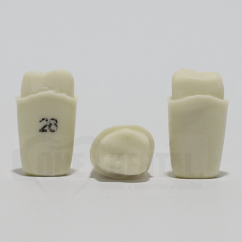 Prep Tooth 26 Full Crown for 2008 Adult Model