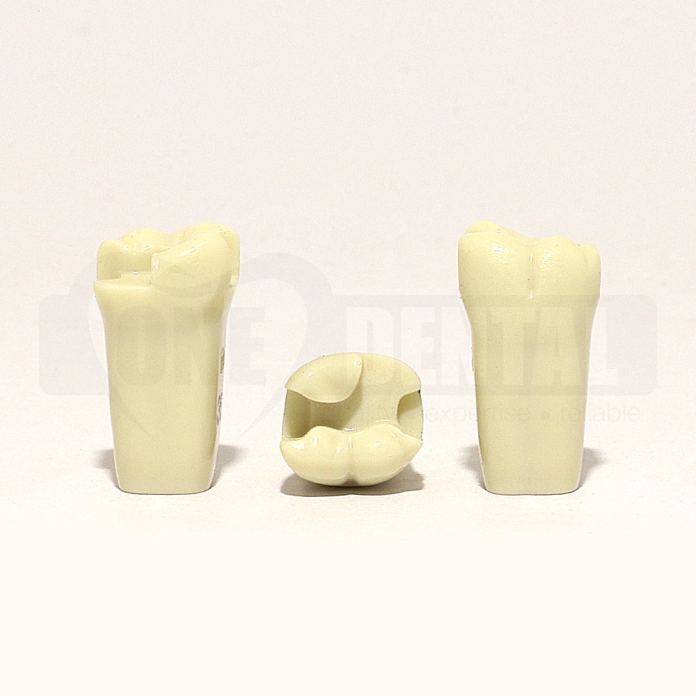 Prep Tooth 36MODL for 2008 Model