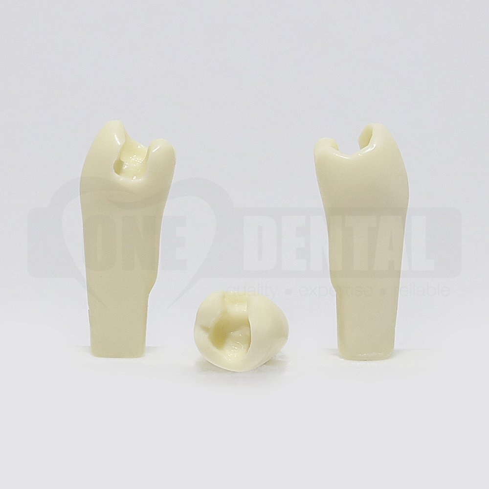 Prep Tooth 45 MO - JK for 2010 Adult Model