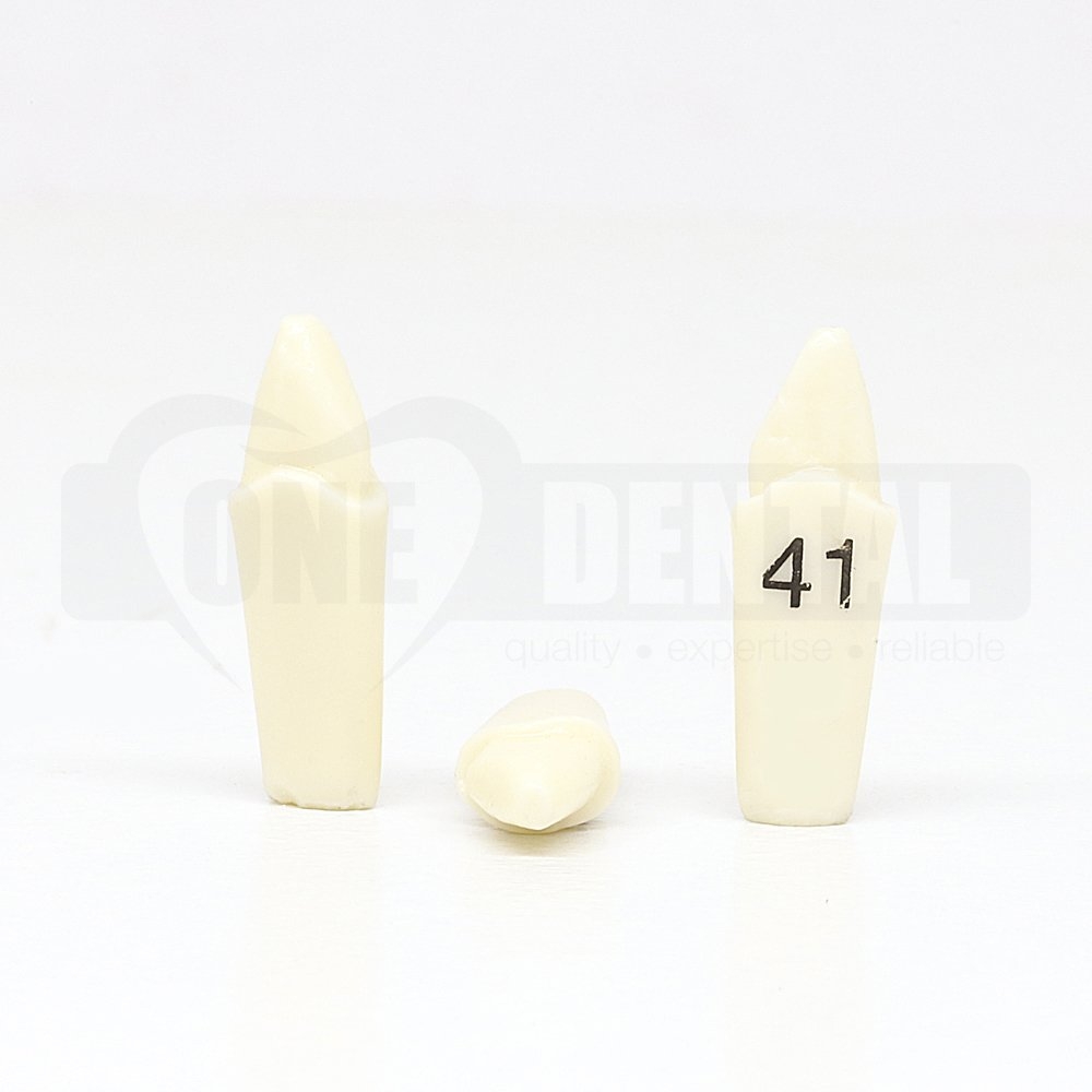 Prep Tooth 41 Full Crown for ADC Model