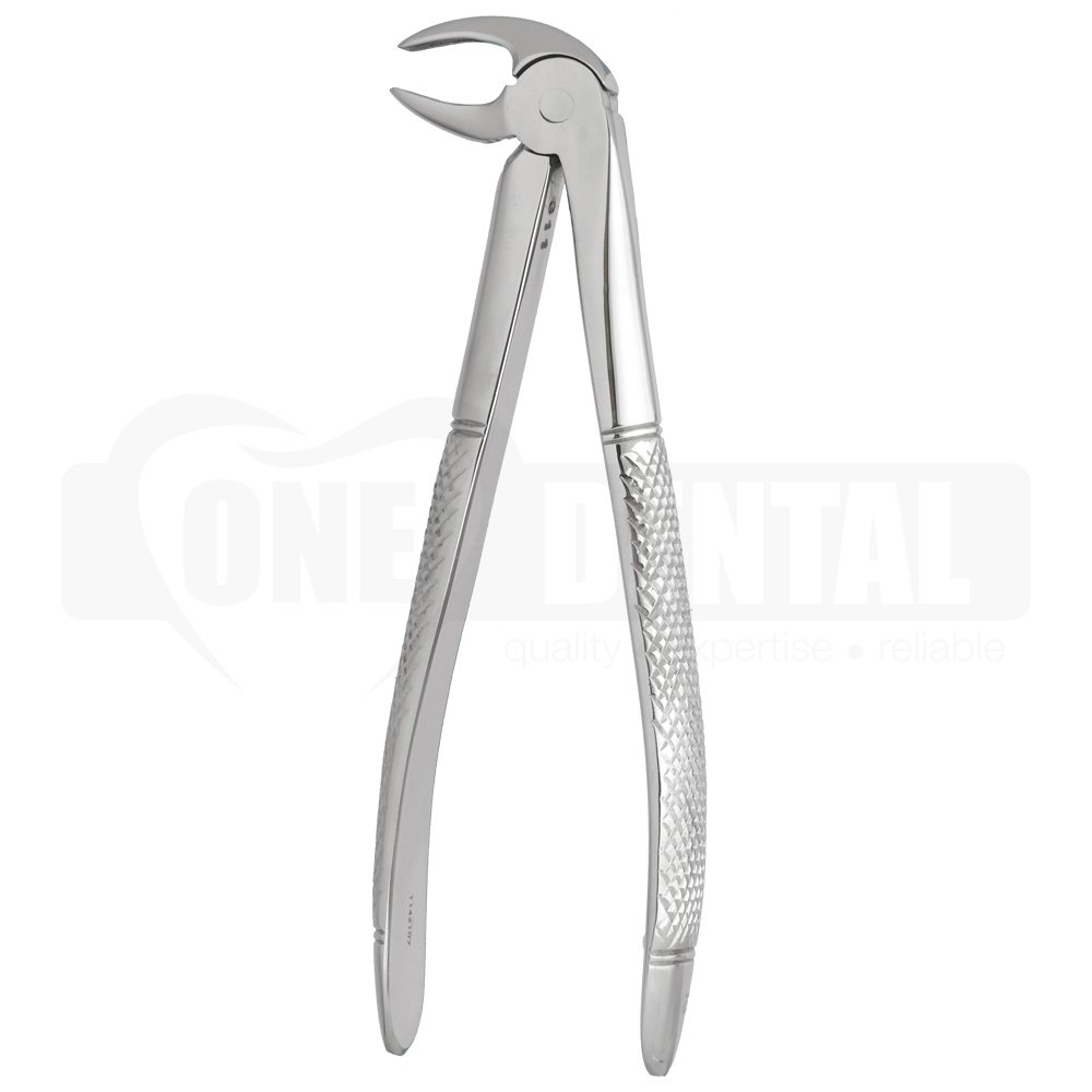 Extraction Forceps, Lower Bicuspid English Pattern #13