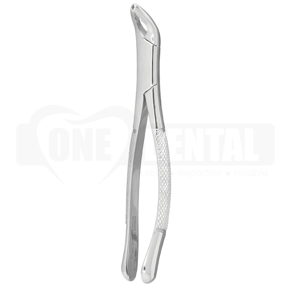 Extraction Forceps, Upper Universal Anatomical Beaks # 151AS