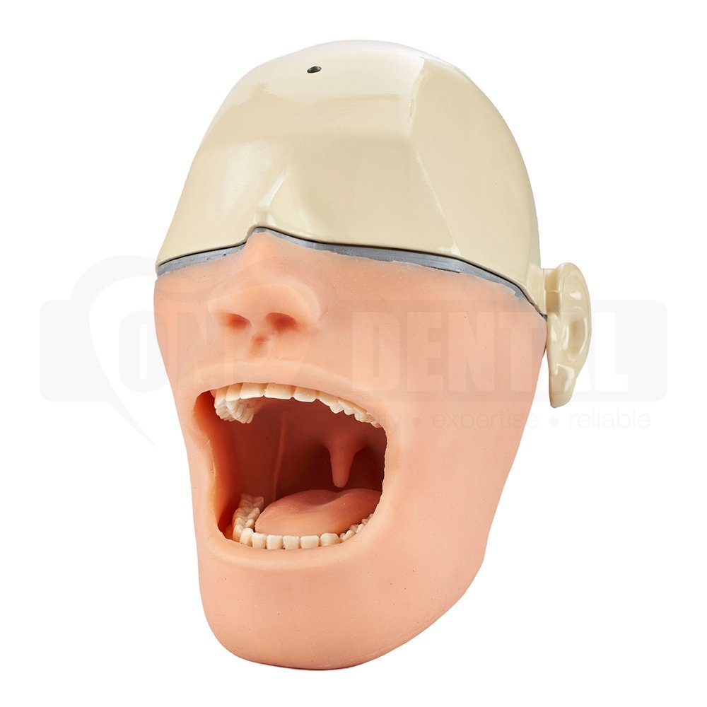 Local Anaesthesia Manikin Head with 10 Sensors (Mount sold separately)