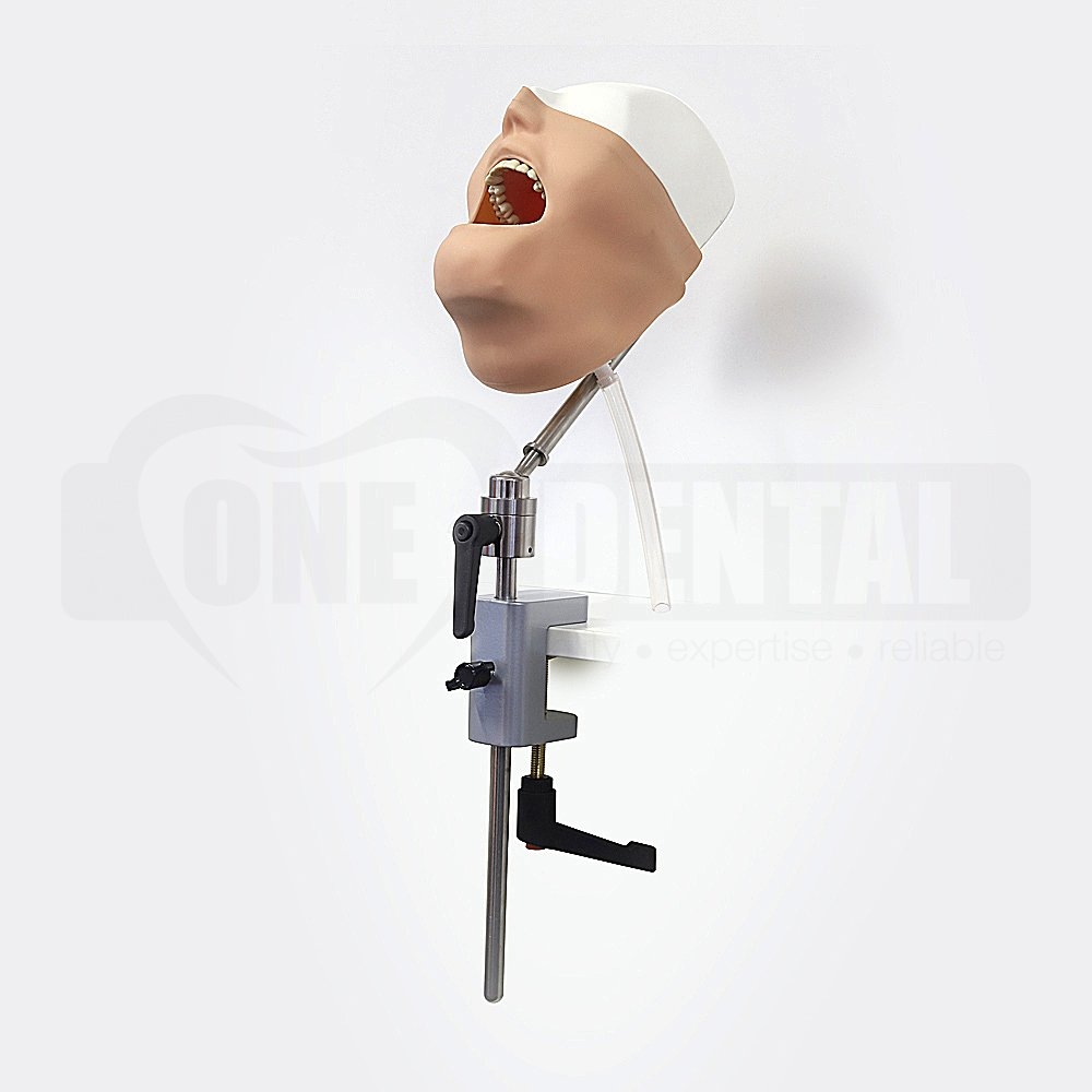 Manikin 3/4 Head MQD & Bench Mount & Drainage Mask (Model not included) - Click for more info