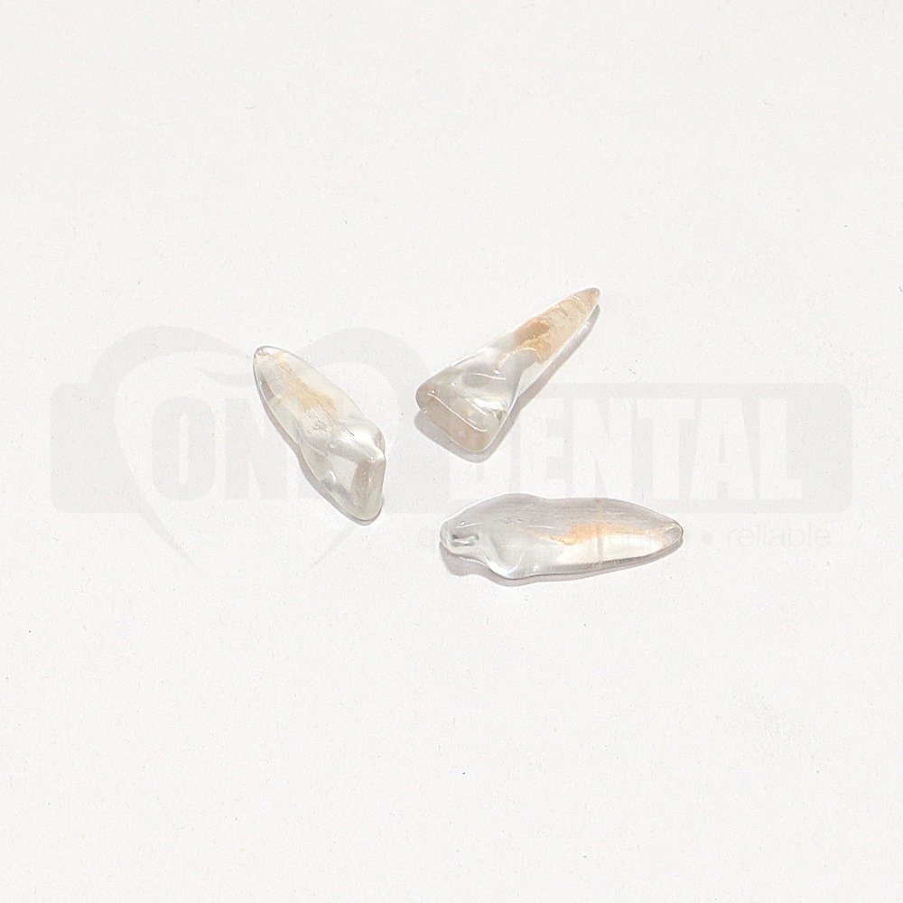 Natural Rooth Endo Tooth 21 Transparent