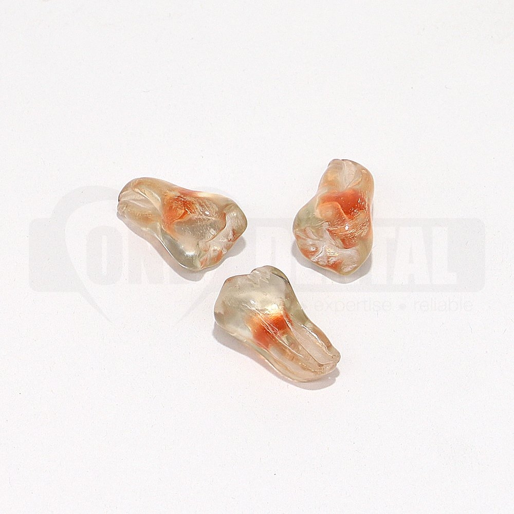 Natural Rooth Endo Tooth 47 Transparent