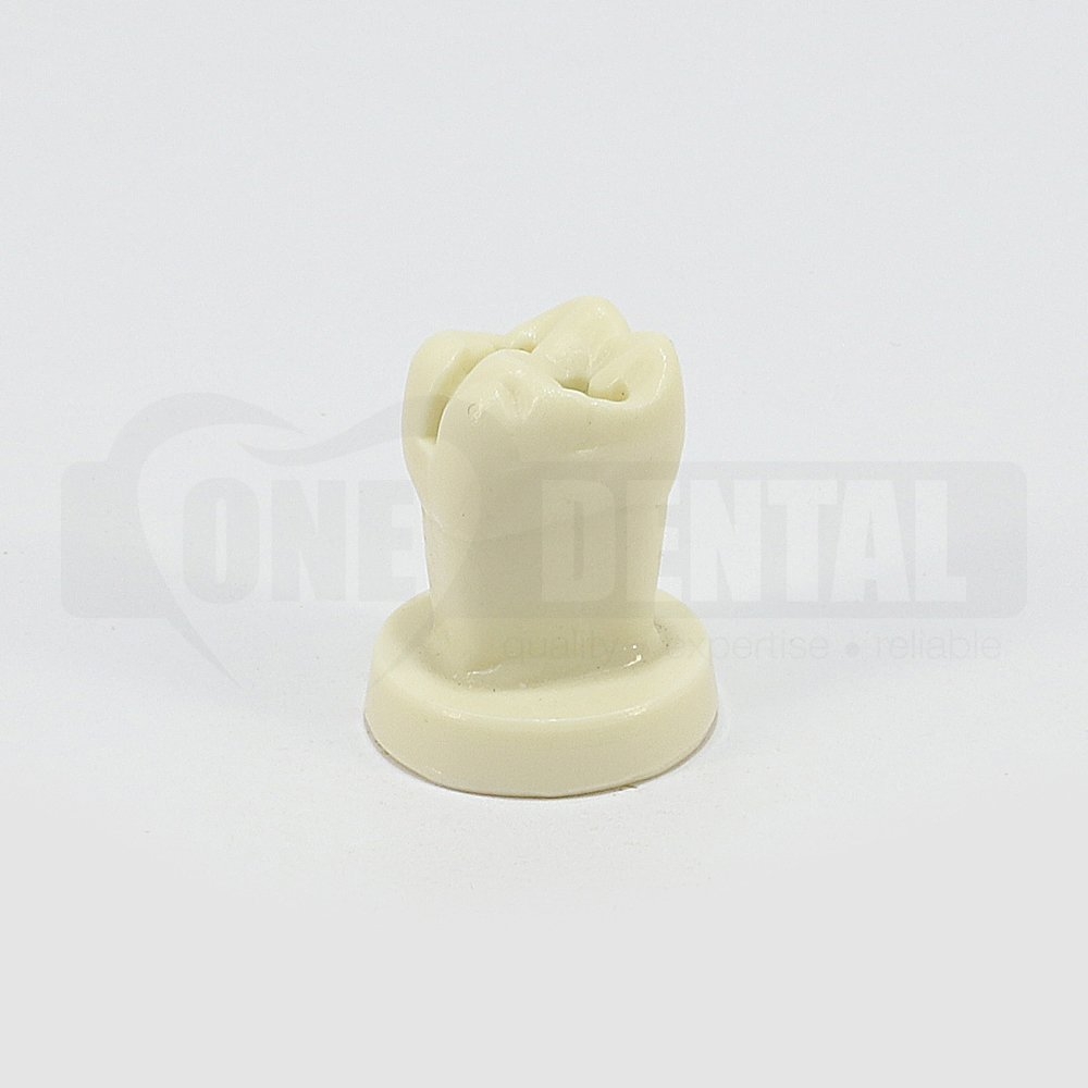 X-Large Tooth 16 on pedestal base with Large OL Prep