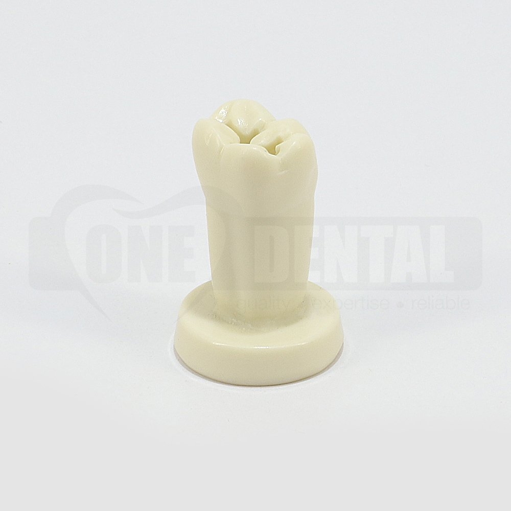 X-Large Tooth 46 on pedestal base with Large Occ Prep