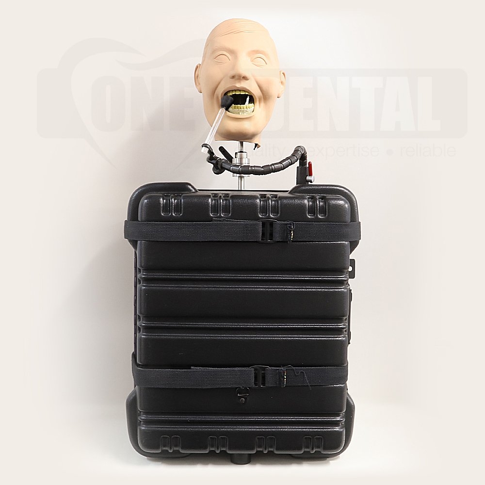 X-Ray / Radiology Manikin in portable case with adult Xray Model