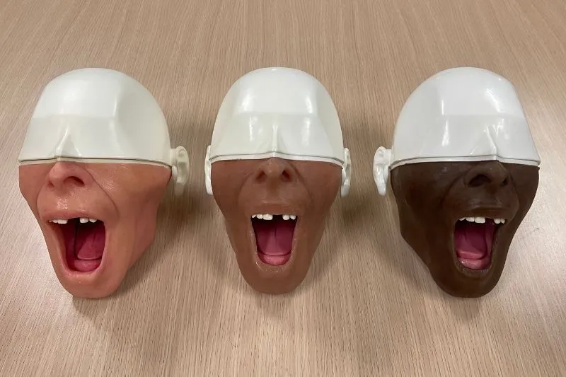 Different colours of Manikin model