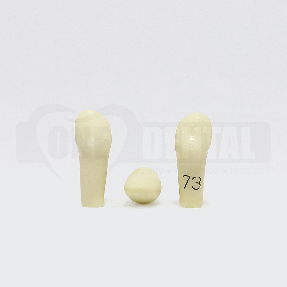 Tooth 73 for Paedo Model 1971