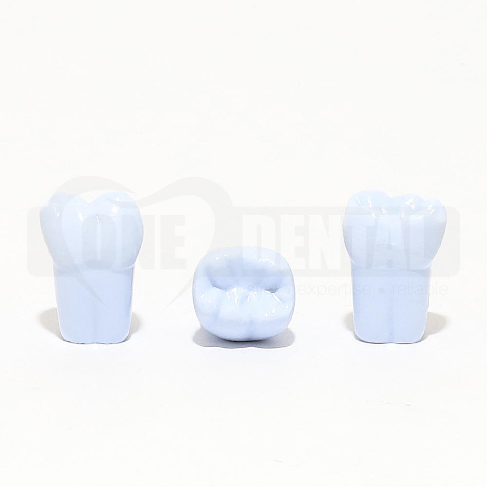 Tooth 46 Blue for 1971 Paedo Model