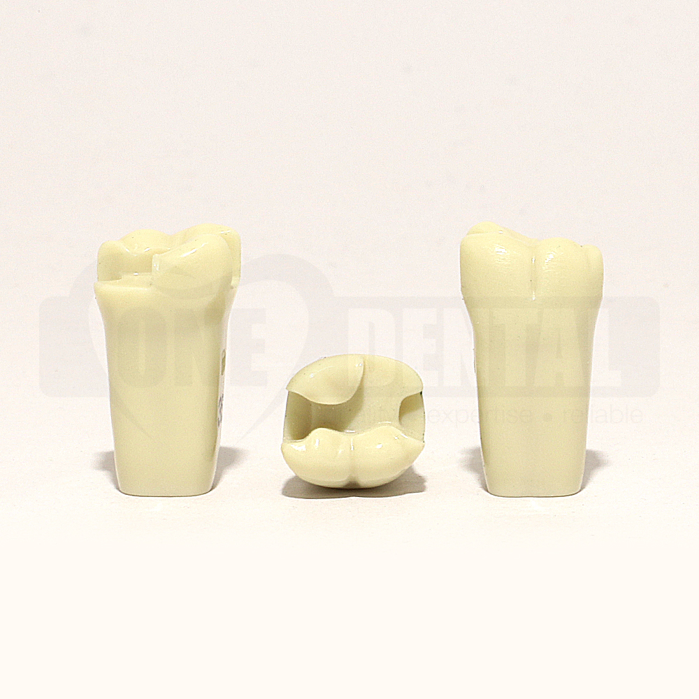 Prep Tooth 36MODL for 2008 Model