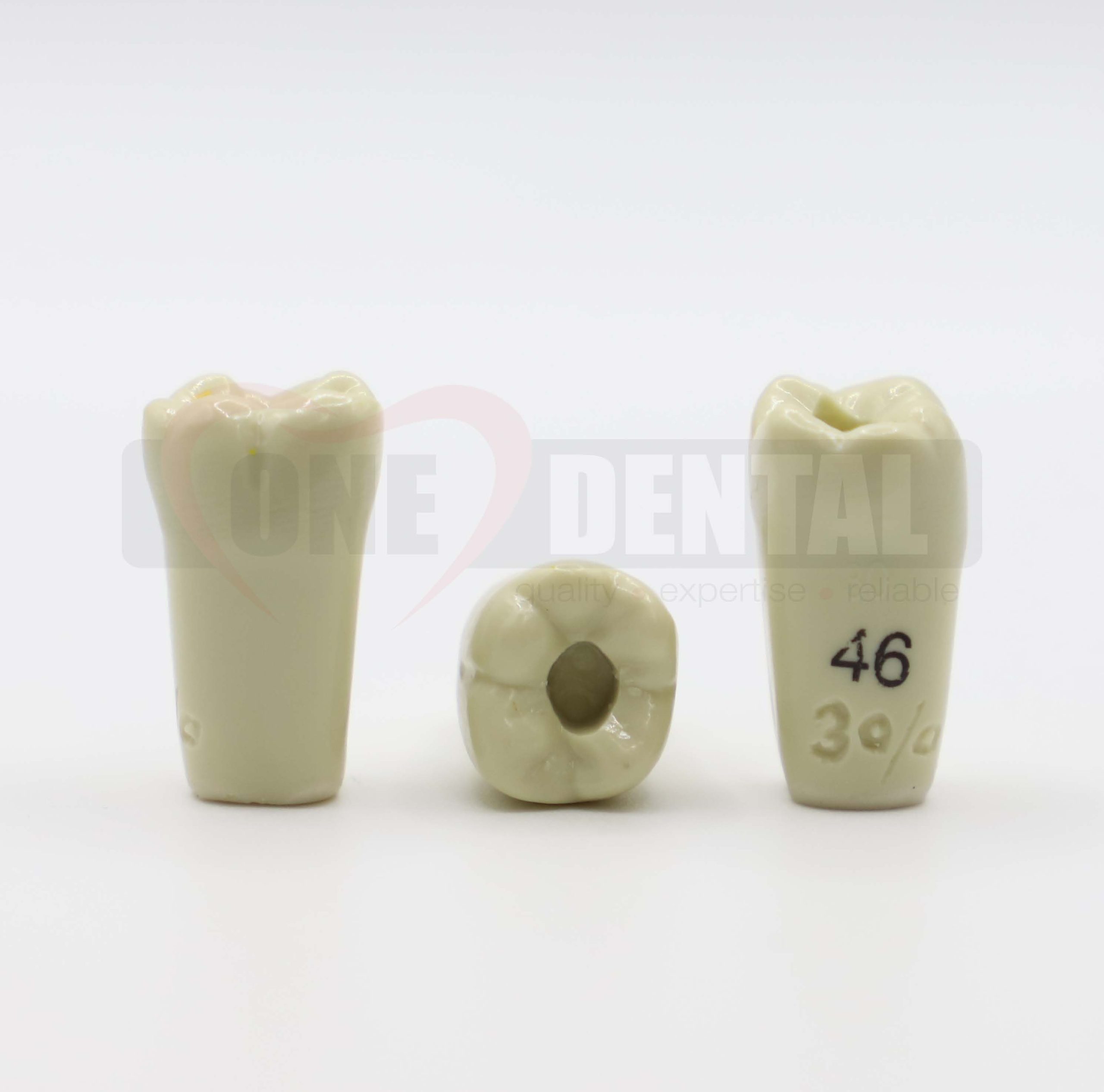 Prep Tooth 46 Occ for 2008 Adult Model