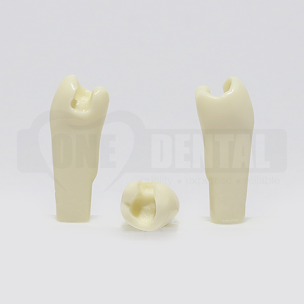 Prep Tooth 45 MO - JK for 2010 Adult Model