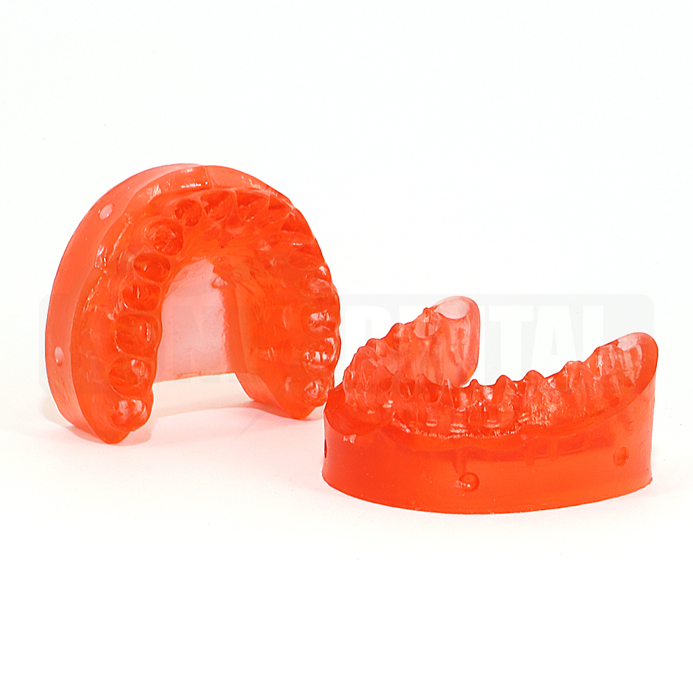 2010 Pell Replacement Lower Gingivae in Semi Transparent