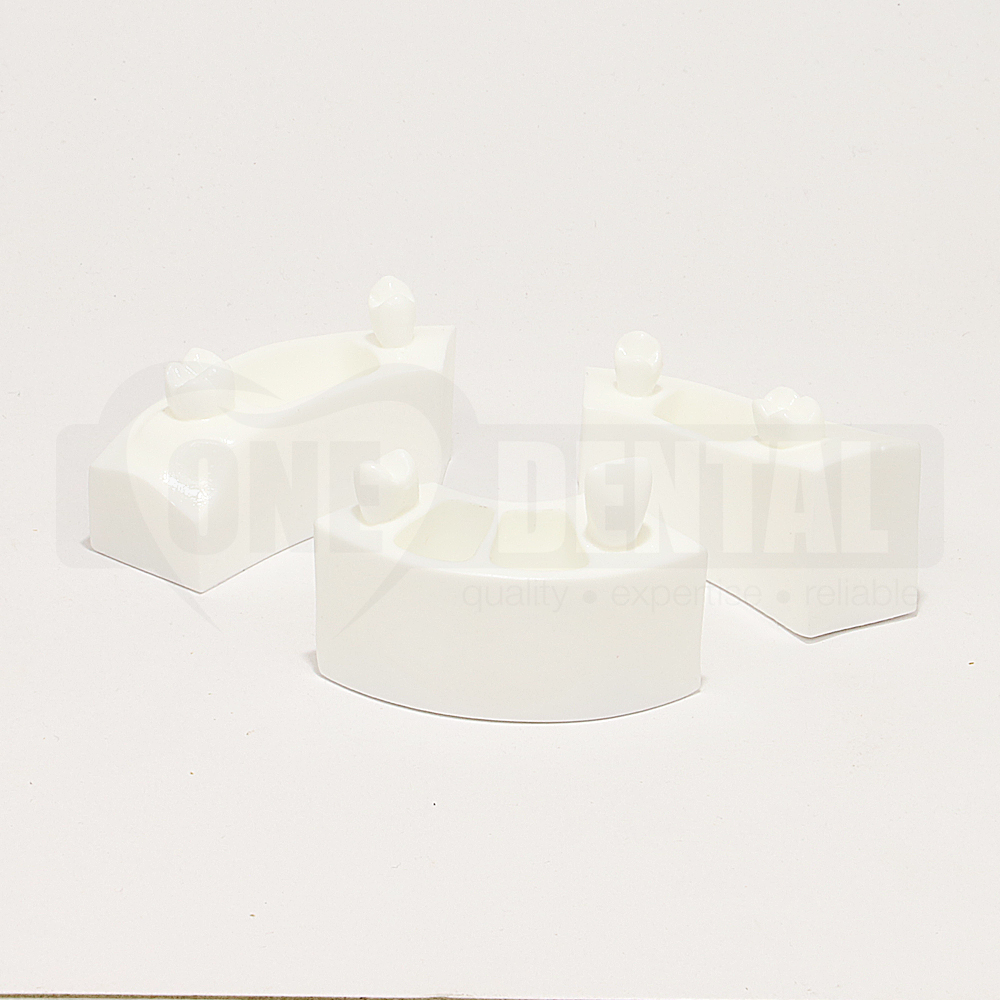 Sectional Endo Model Segment 3 Pack