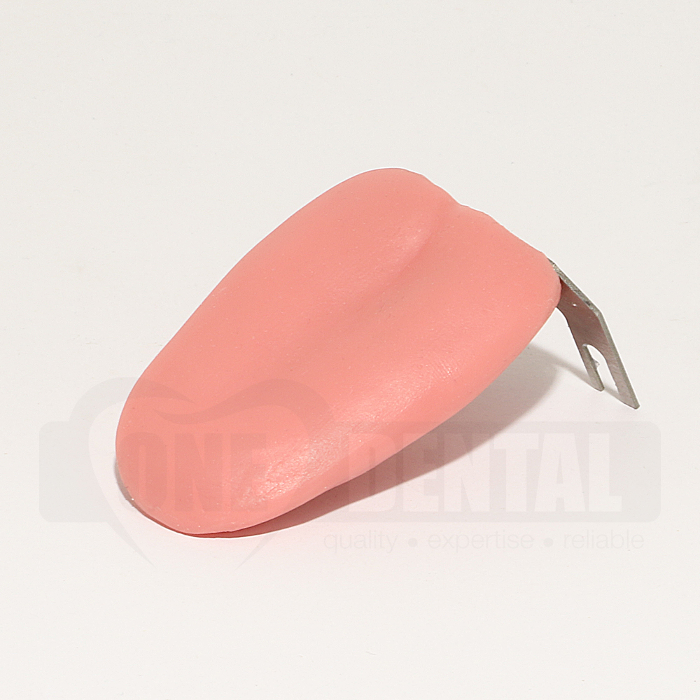 Tongue for Adult Models