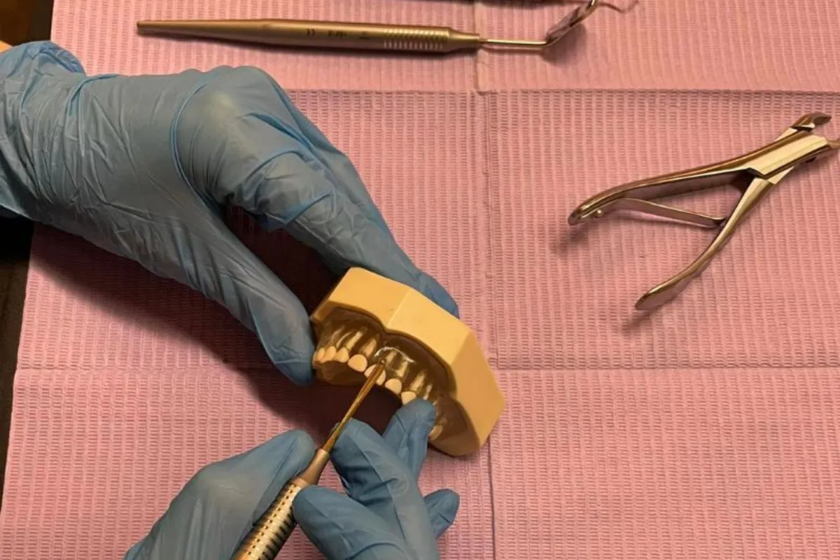 Gloved hands demonstrating a dental tool on a teeth model.