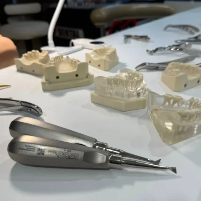 Dental lab table with tooth models and assorted instruments laid out (pliers, scalers, mirrors).