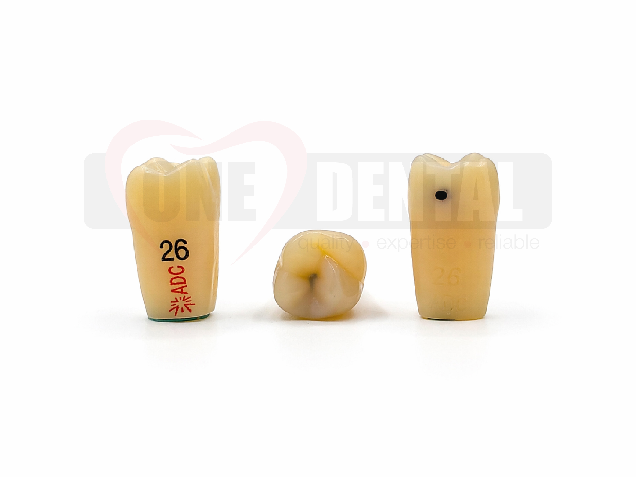 Three dental tooth models arranged on a white surface; left tooth is labeled 26 with red text, middle is a small tooth, right tooth has a dark hole/drill mark.