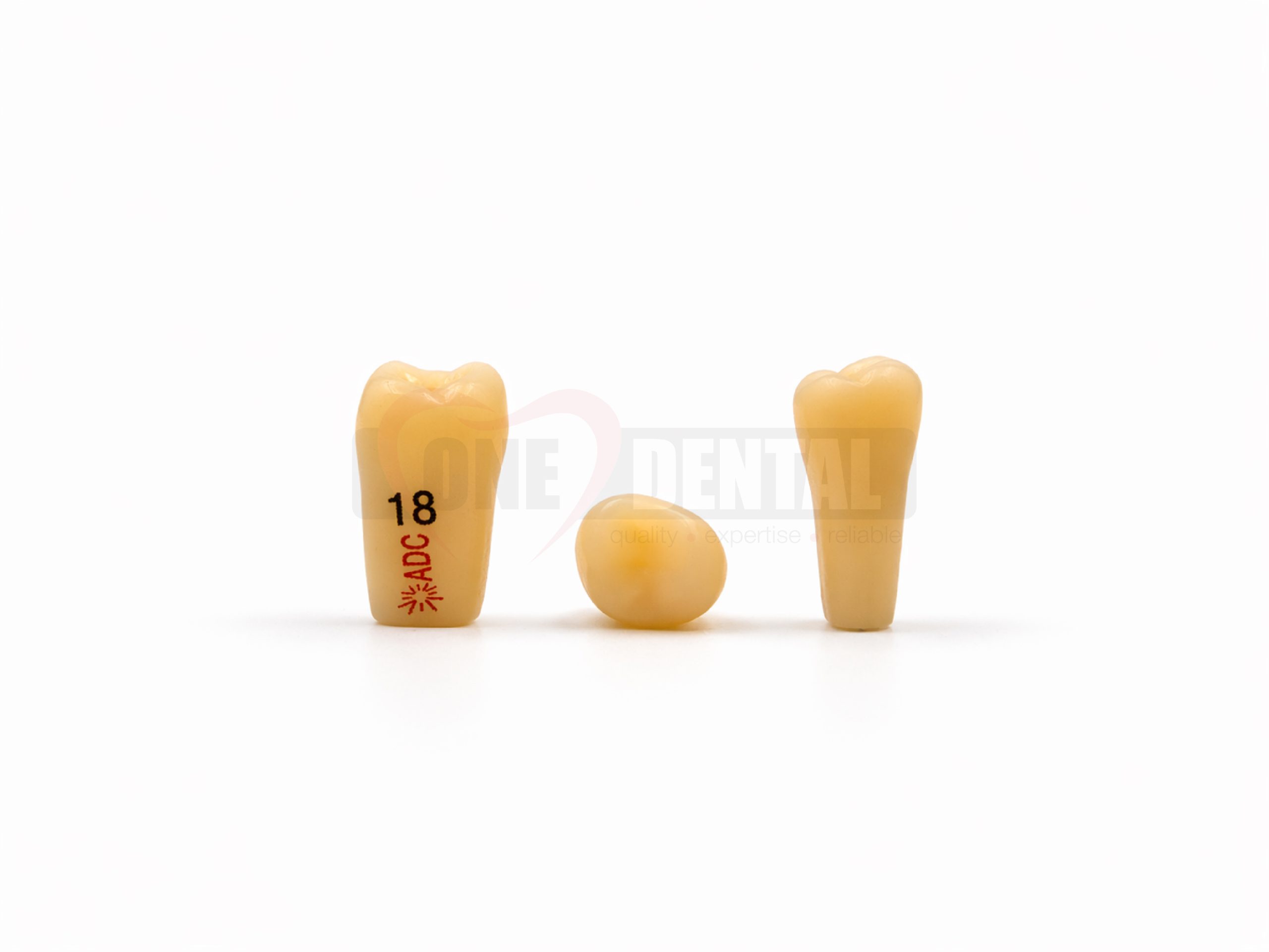 WPADC18.jpg Three beige tooth-shaped models arranged on a white background, with the left model labeled '18' in red text; dental tools or implants illustration.