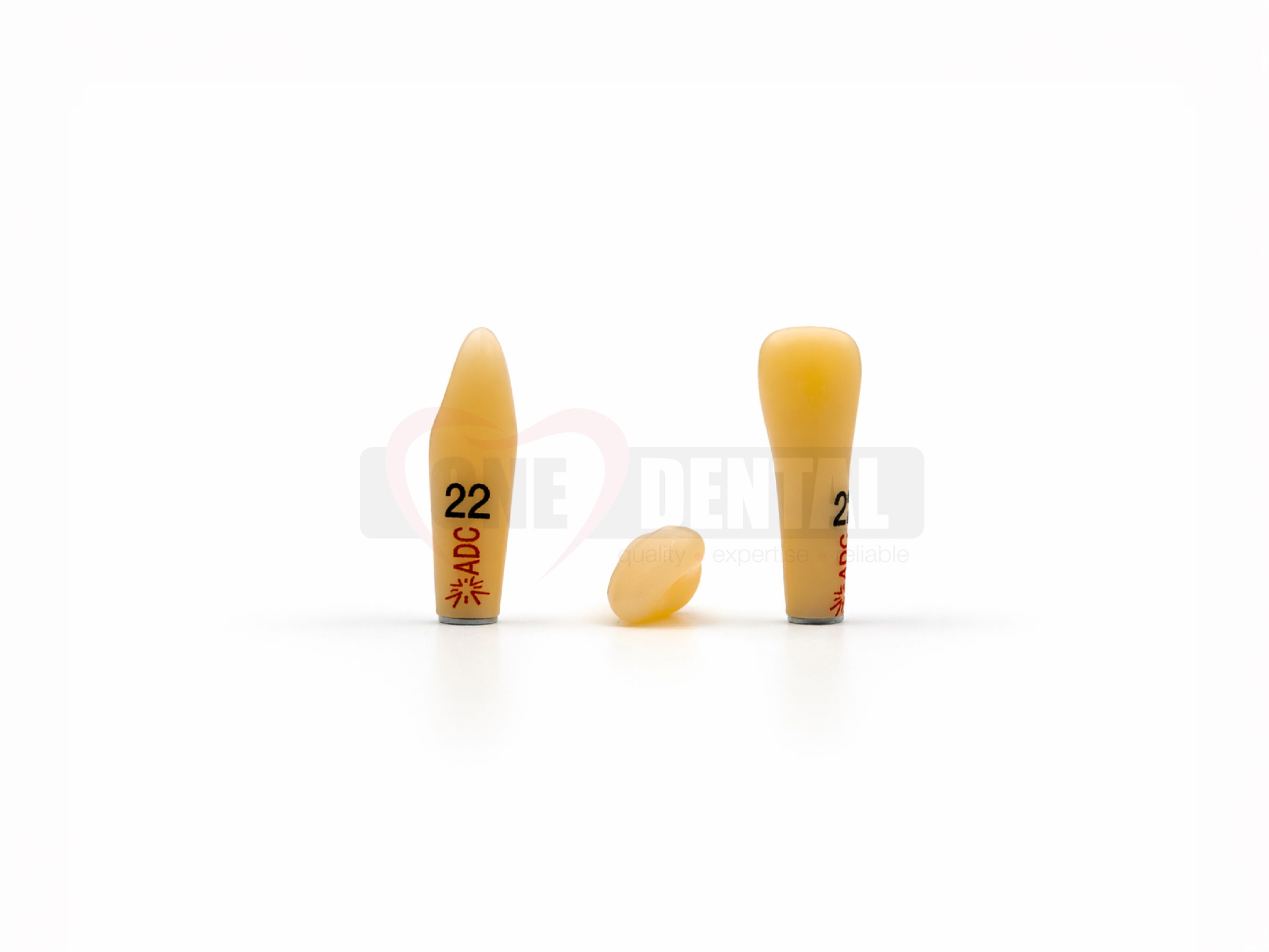 Two yellow-orange dental crown replicas labeled 22 and 23 standing upright on a white surface.