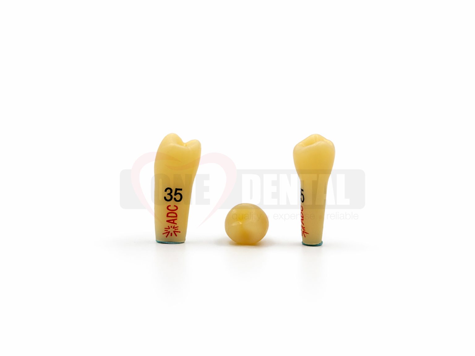 ADC PLATINUM Tooth 35 for ADC Model PRE ORDER - One Dental