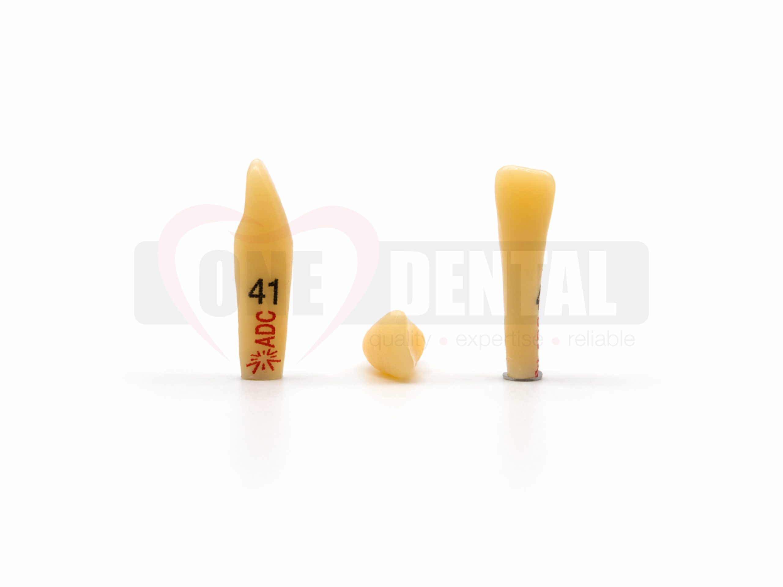 Two beige dental prosthetic stubs standing upright on a white surface, one tall labeled '41' and the other shorter with a metal base visible at the bottom