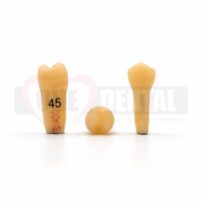 Three peach dental implants standing upright on a white surface, two tooth-shaped crowns taller and one rounded nub in between.