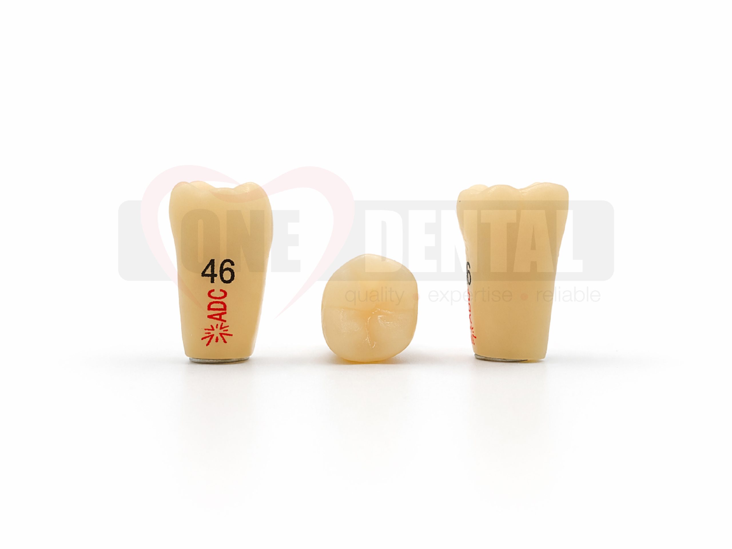 Three beige dental tooth models on a white surface, labeled with numbers (e.g., 46).