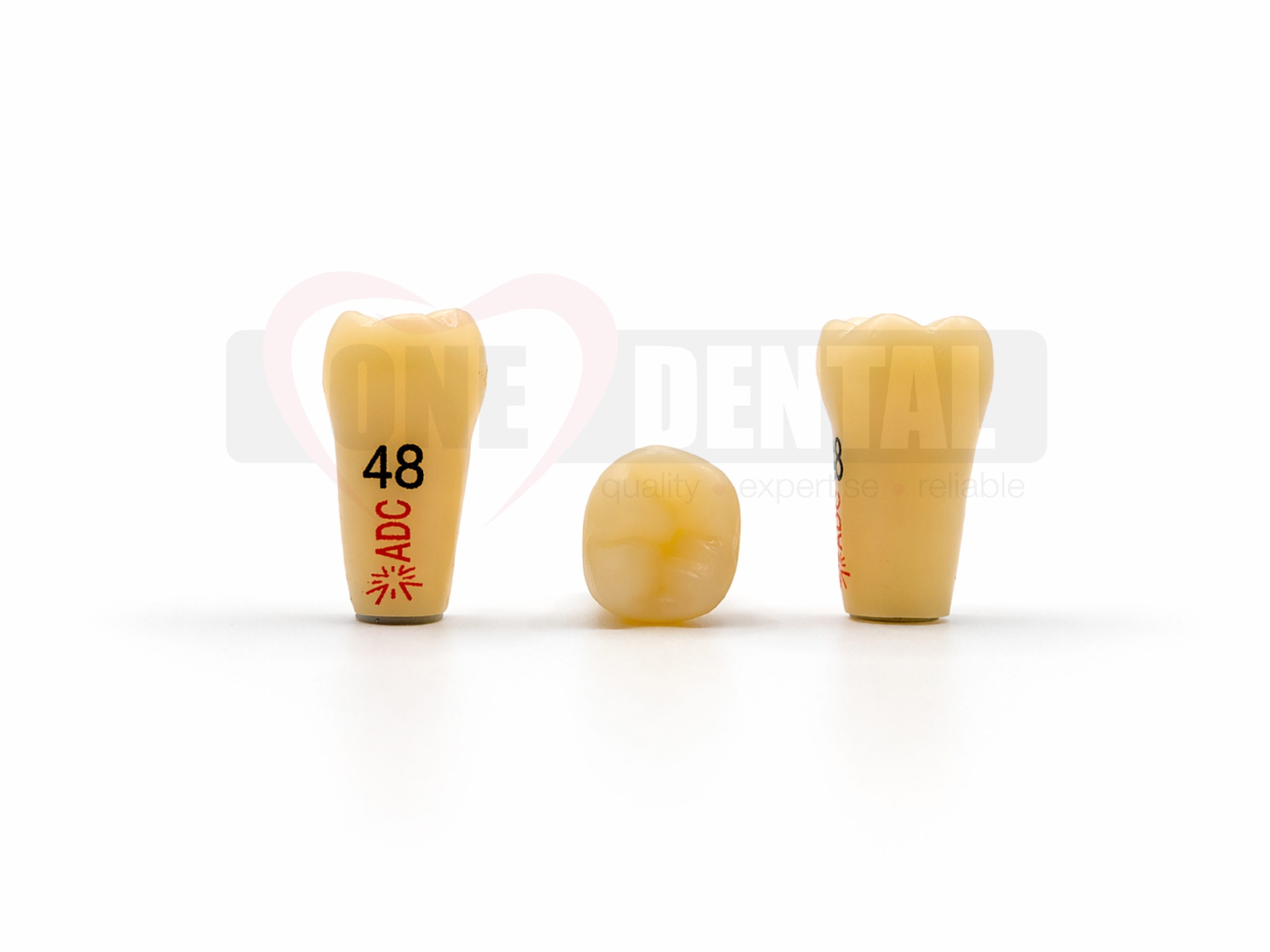 ADC PLATINUM Tooth 48 for ADC Model PRE ORDER - One Dental