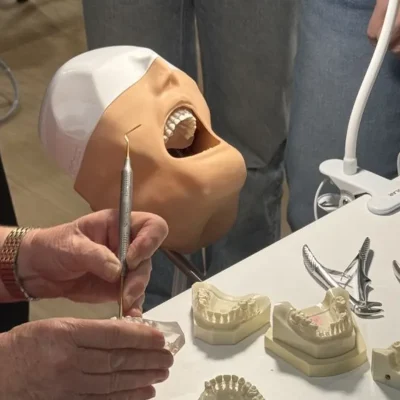 Dental training demonstration using a mannequin head, dental instruments, and tooth models