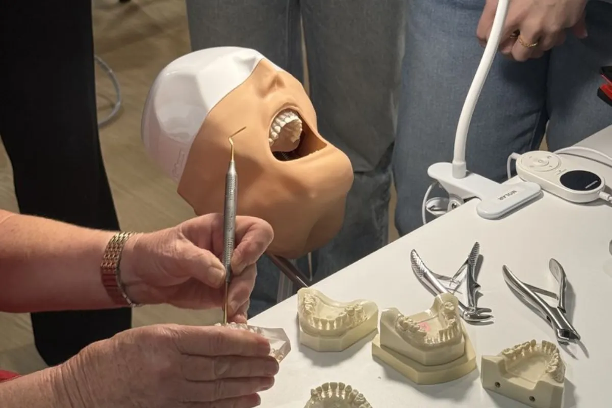 Dental training demonstration using a mannequin head, dental instruments, and tooth models