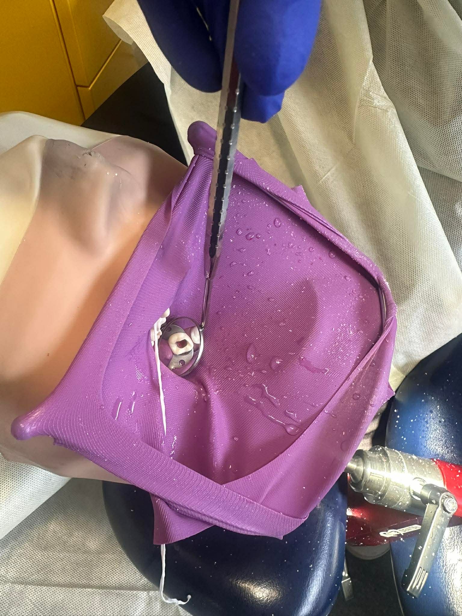 Managing Pulps & Pain in Primary Teeth