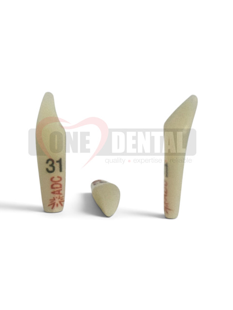 ADC PLATINUM Prep Tooth 31Di Fracture PRE ORDER